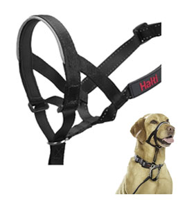 Halti harness for dogs that pull
