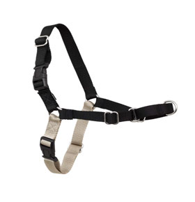 PetSafe Easy Walk harness for dogs that pull