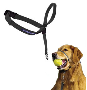 Review: PetSafe Gentle Leader Padded No Pull Dog Headcollar