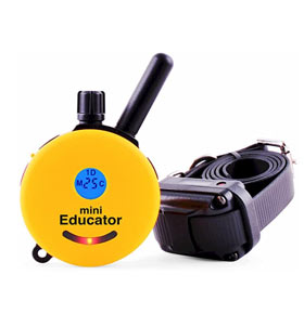 Educator E-Collar Remote Dog Training Collar