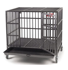 ProSelect Empire Dog Crate