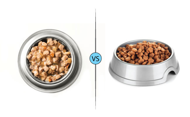Dry vs. Wet Dog Food