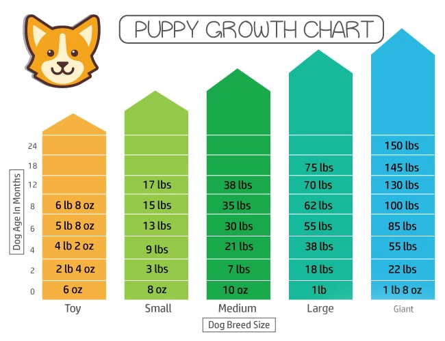 Puppy Growth Chart 