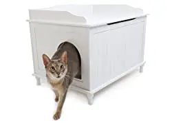 Designer Catbox Litter Enclosure
