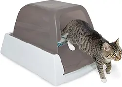 PetSafe ScoopFree Ultra Self-Cleaning Cat Litter Box